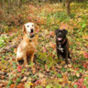 Meet your Posher, Deann